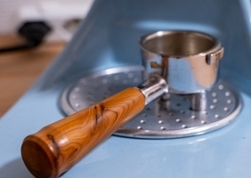 L'if, ce vilain bois toxique qui fait peur