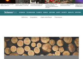 Au fond du bois, la lumiere