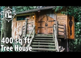 Maison dans un thuya