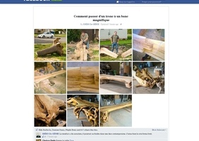 Un banc dans un tronc