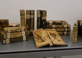 Les xylothèques : ranger les arbres sur des étagères