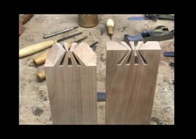 Queues d'aronde Japonaise