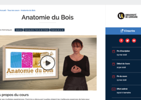 Cours sur l'anatomie du bois