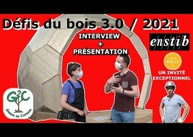 Les défis du bois   promo 2021  (des idées design de cabanes, chalet, etc. )