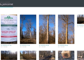 Ces nobles messieux qui nous regardent de haut