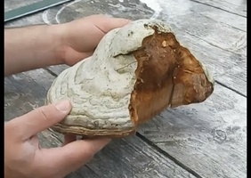 Confinement, préparer de l'amadou avec les enfants