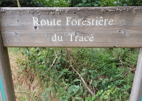 Le tracé