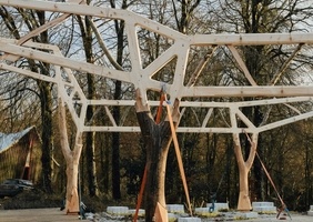 Charpente et arbres tordus ?
