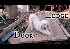 On a retrouvé "Lejeune" fils de Sanglier !...