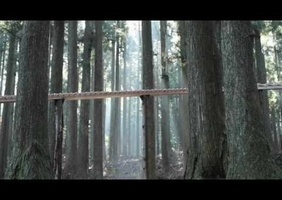 Xylophone géant