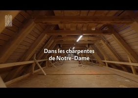 Visite dans la charpente de N.D. de Paris