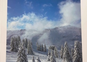 Désolé pas de bois cette fois mais la "gloire" pour Boris