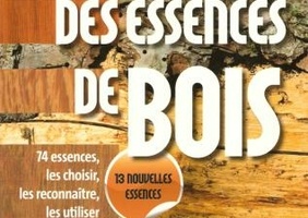 Le guide des essences de bois