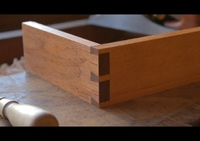 Vidéo sur des queues d'aronde.