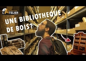 La plus GRANDE BIBLIOTHEQUE DE BOIS D'EUROPE  - La xylothèque de Tervuren