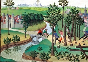 L'exploitation forestière à ces débuts : à écouter ...