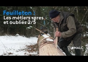 Métier rare et oublié : sanglier