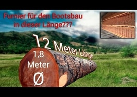 Petit travail de sciage d'une bille d'acajou