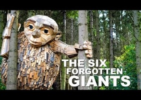 Que faire des chutes de bois ?