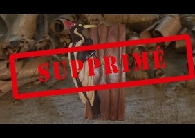 Les explications par le principal intéressé