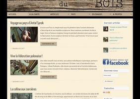 Blog : Travail du bois à travers le monde