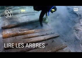Fabien étudie l'âge du bois et des villages lacustres engloutis par les eaux.