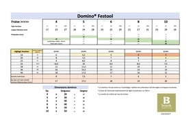 Fiche mémoire pour Domino®