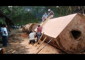 Petit bijou de technologie pour le bois