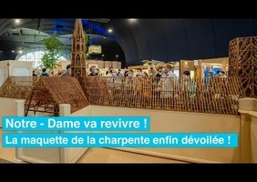 La charpente de Notre-dame dévoilée à travers un témoignage inspirant
