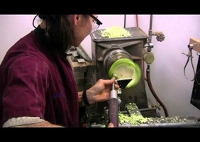 C'est choux .... non ?