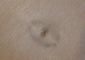 The wood is watching you !