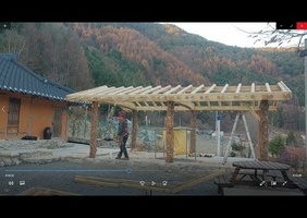 Le roi de la tronçonneuse !