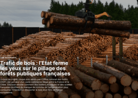 Il n'y a pas qu'en Roumanie