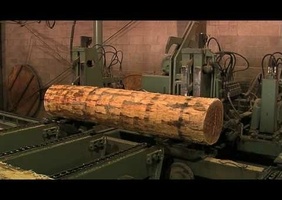 Processus de fabrication du placage