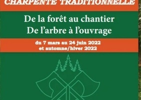 Formation charpente traditionnelle, ceinturage, equarrissage