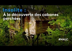 A  la découverte des cabanes perchées