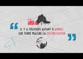 Il y a toujours autant d'arbres sur Terre malgré la déforestation | Data science vs Fake