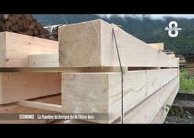 Reportage  de 2 minutes sur la filière bois