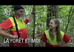 Un bûcheron. Une transmission.