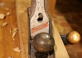 Un petit Stanley sauvé de la déchetterie