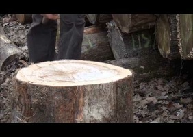 Fendre du bois : technique du bûcheron de Guedelon