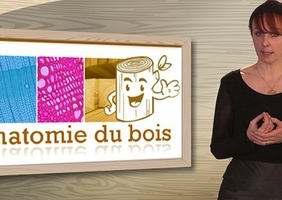 Une des meilleures formations et gratuite sur le bois: le fun MOOC