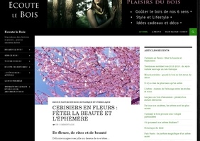 Un blog sur le bois et les plaisirs des 5 sens