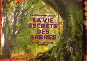 La vie secrète des arbres