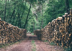 Fermeture d'une scierie