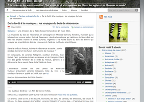 Le cueilleur d'arbres