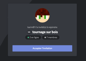 Un groupe de tourneur sur bois discord