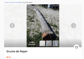 Grume de noyer (Leboncoin)