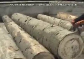 Utilisation de tronc d'arbre pour de la contrebande