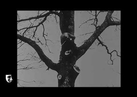 Le travail du bûcheron en 1927